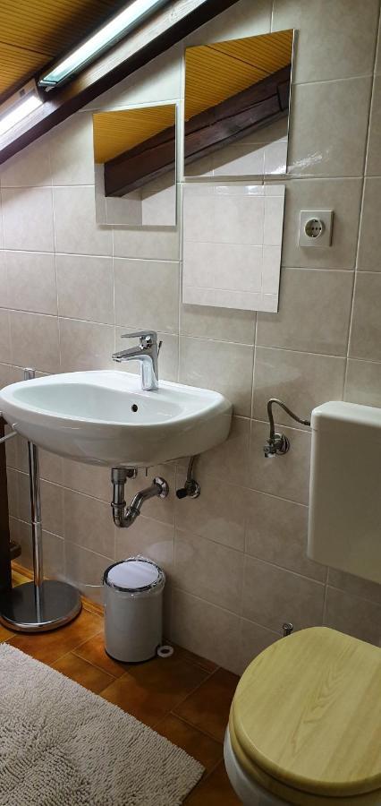 Slavi Apartment Vipava